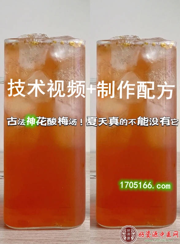 古法冰镇神花酸梅汤